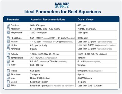 パラメーターシート - 数字の海を泳ぐ魚たちの会議